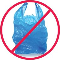 /album/galeria-de-fotos-meio-ambiente/sacolas-plasticas-jpg/